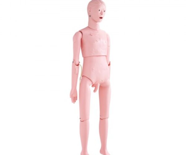 Ápolási Oktató Férfi Bábu Modell PVC