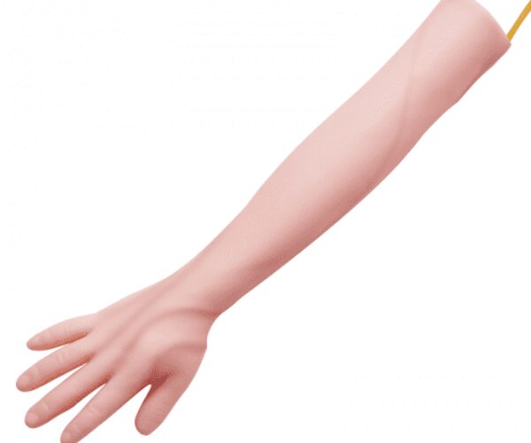 IV Vénapunkciós Gyakorlókészlet Hordtáskával