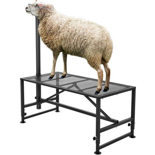 Kecske-Juh Fejő-Nyíró Állvány 1295x584x533-838 mm 227 kg - Image 2